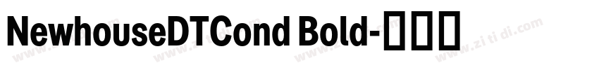 NewhouseDTCond Bold字体转换